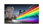 Infoskærme & Digital Skiltning - Philips 43BFL2214 B-Line Professional Series - 43" LED-backlit LCD TV - 4K - for digital signage - 43BFL2214/12