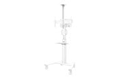 Vægbeslag, AV-Beslag & AV-Møbler - Neomounts Select - mounting component - for camera / mediabox - white - Maks 9 kg - Maks størrelse - AFLS-825WH1