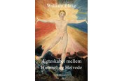 Skønlitteratur & Fiktion - Ægteskabet mellem Himmel og Helvede - Skønlitteratur & Fiktion - Hæftet - 9788793209619