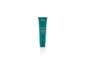 Hårpleje - Aveda Botanical Repair Leave In Treatment 100 ml - 018084019580