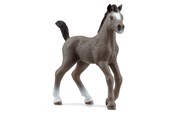 Schleich - Schleich Selle Français-føl - 13957