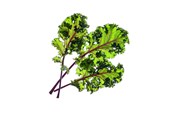 Smart Home - Click & Grow Smart Garden Refill 3-pack - Red Kale - SGR47X3