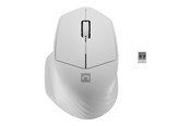 Mus - Natec Siskin 2 - mouse - 2.4 GHz Bluetooth 5.0 - white - Mus - Optisk - 3 knapper - Hvid - NMY-1972