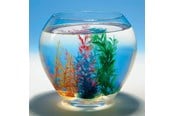 Legetøj - Goki Magic Shell 1pc. - 60836