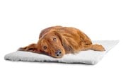 Hunde - Dogman Hundetæppe Malva lysegrå S - 810060