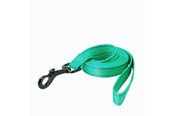 Hunde - Dogman Reflective Nylon Dog Leash Iris Turquoise S 15mm 180cm - 223113