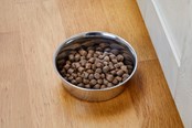 Hunde - Dogman Heavy Madskål i Rustfrit Stål Metal 800ml - 369629