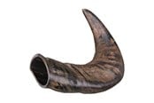 Hunde - Trixie Buffalo Chewing Horn packaged medium - TX27742