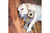 Hunde - KONG Hundelegetøj Wild Knots Bear Assorterede Farver M/L 25cm - 340490