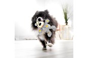 Hunde - KONG Hundelegetøj Wild Knots Bear Assorterede Farver XS 10cm - 340492