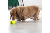 Hunde - KONG Hundelegetøj AirDog Squeaker Football Small 8cm - 340528