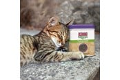 Katte - KONG Naturals Premium Catnip 28g - 340628