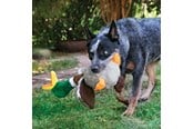 Hunde - KONG Dog Toy Shakers Honkers Duck Large 45cm - 340777