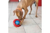 Hunde - KONG Dog Toy Gyro Small 14cm - 340808