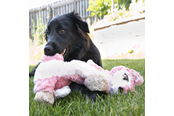 Hunde - KONG Dog Toy Low Stuff Flopzie Fox 48cm - 340972