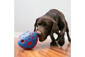 Hunde - KONG Aktiveringslegetøj Rewards Wally - 341014
