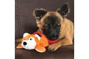 Hunde - KONG Dog Toy Cozie Pocketz Beaver Medium 33cm - 341128