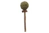 Katte - Trixie Matatabi Lolly 11 cm - TX42430