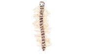 Katte - Trixie Centipede 33 cm - TX45596