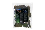 Gnavere - Trixie Terrarium moss 200g - TX76155