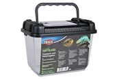 Terrarier & tilbehør - Trixie Transport and Feeding Box 19x14x12 assorted colours - TX76300