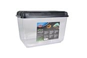 Terrarier & tilbehør - Trixie Transport and Feeding Box 38x26x24 assorted colours - TX76303