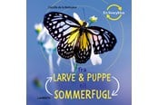 Børnebøger - Fra larve og puppe til sommerfugl - Børnebog - Hardcover - 9788775660247