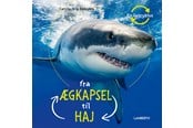 Børnebøger - Fra ægkapsel til haj - Børnebog - Hardcover - 9788775660278