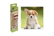 Hobby artikler - Legind Diamond art - Hund 20 x 20cm - 8720257141128