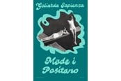 Skønlitteratur & Fiktion - Møde i Positano - Skønlitteratur & Fiktion - Hæftet - 9788773391662
