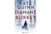 Skønlitteratur & Fiktion - Diamantblikket - Skønlitteratur & Fiktion - paperback - 9788743515388