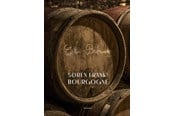 Vin og spiritus - Søren Franks Bourgogne - Vin og spiritus - hardcover - 9788773396155