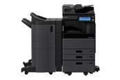 Blæk, Toner & Forbrugsstoffer - Toshiba T-3008E - black - original - toner cartridge - totot30080