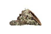 Kanin & gnaver - Trixie Cork tunnel XS–S: up to ø 6/20 cm - TX76404