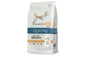 Hunde - Quattro All Breed with Poultry, Adult 3kg - 13052