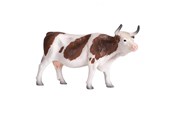 Legetøj - Mojo Farmland Simmental Cow - 387220 - 387220