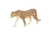 Legetøj - Mojo Wildlife Cheetah Male - 387197 - 387197