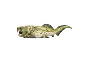 Legetøj - Mojo Prehistory Dunkleosteus - 387374
