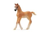 Schleich - Schleich Araberføl - 13984