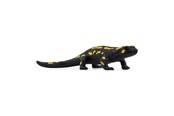 Schleich - Schleich Ildsalamander - 14870
