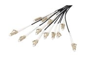 Netværkskabel - DIGITUS breakout cable - 30 m - black - Sort - 30m - DK-2433CU050BK-BBB