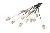 Netværkskabel - DIGITUS breakout cable - 100 m - black - Sort - 100m - DK-2433CU100BK-BBB