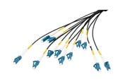 Netværkskabel - DIGITUS breakout cable - 50 m - black - Sort - 50m - DK-2A33CU050BK-BBB