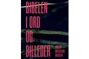 Kunst & Kultur - Bibelen i ord og billeder - Kunst & Kultur - Hardcover - 9788772323077