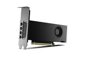 Grafikkort - PNY RTX 2000 Ada Retail - 16GB GDDR6 RAM - Grafikkort - VCNRTX2000ADA-PB