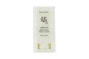 Ansigtspleje - Beauty of Joseon - Matte Sun Stick Mugwort + Camelia SPF 50+ PA++++ - 8809864766884