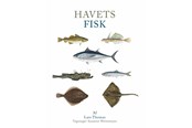 Natur & Videnskab - Havets fisk - Natur & Videnskab - Hardcover - 9788793159976
