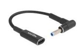 Strømkabel (intern) - DeLOCK - power adapter - USB-C female to DC jack (HP) male - 15 cm - 60031