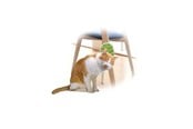 Katte - AFP All For Paws - Groomer 2 In 1 20.3X11X2.2Cm - (781.1025) - 781.1025