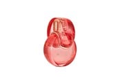 Parfume og dufte - Bvlgari Omnia Coral Edt Spray - 783320420672
